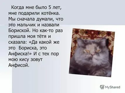 Любе подарили котенка текст 2 класс