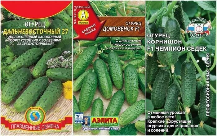 Лучшие сорта огурцов для открытого грунта урала. Семена огурцов для урала самоопыляемые. сорта огурцов для урала в теплице самоопыляемые. огурцы сорта для теплицы самоопыляемые. огурцы корнишоны самоопыляемые для открытого грунта.