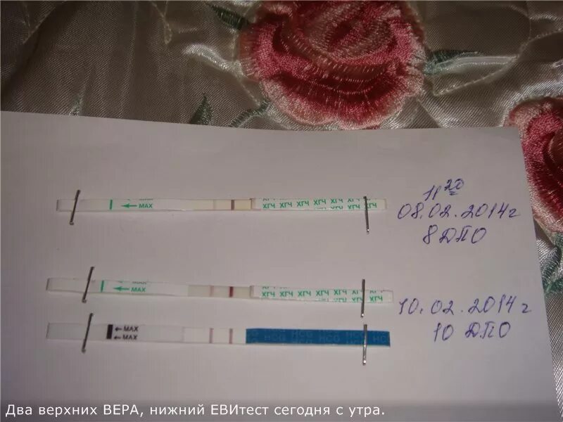 8 ДПО тест на беременность. Тест на беременность после овуляции. Тесты на беременность по дням после овуляции. Заболела после овуляции