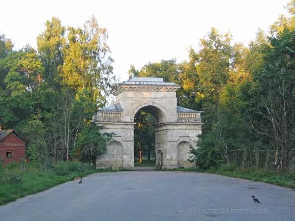 гатчина парк березовые ворота. березовые ворота в гатчине. пудостский камень. ворота береза. березовые ворота в гатчине.