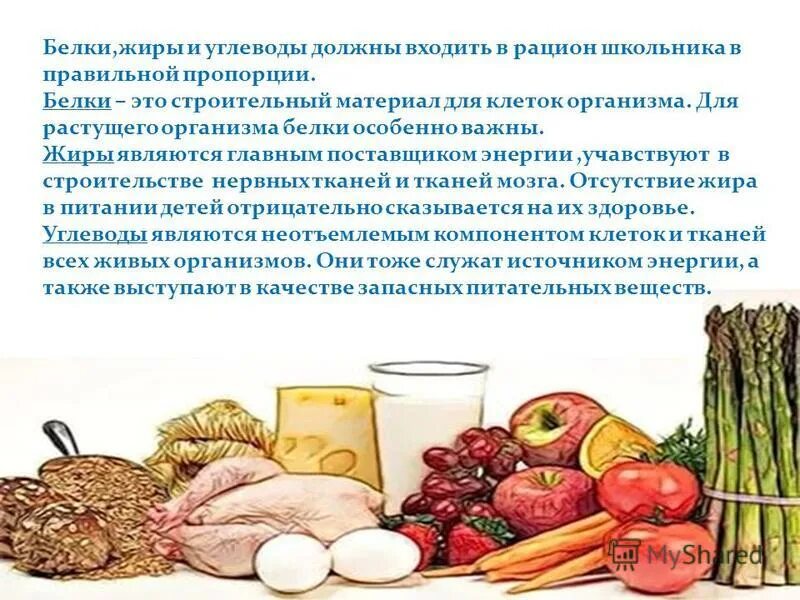 Почему мясо должно присутствовать в рационе. Белки жиры углеводы. Жиры и углеводы. Жиры в рационе. Жиры в рационе питания.