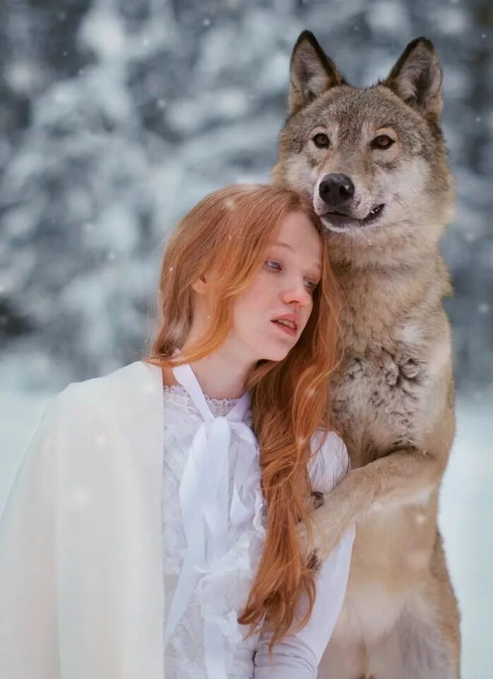 Woman with animals. Девушка с волком. Фотосессия с животными. Фотосессия с волком.