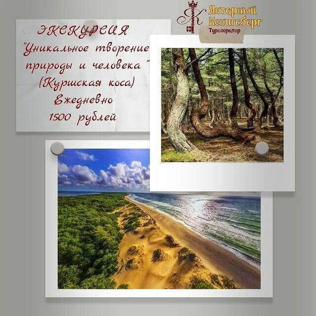 янтарный кенигсберг турфирма