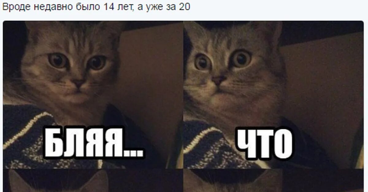 А как понять что ты тут. А как понять что ты тут