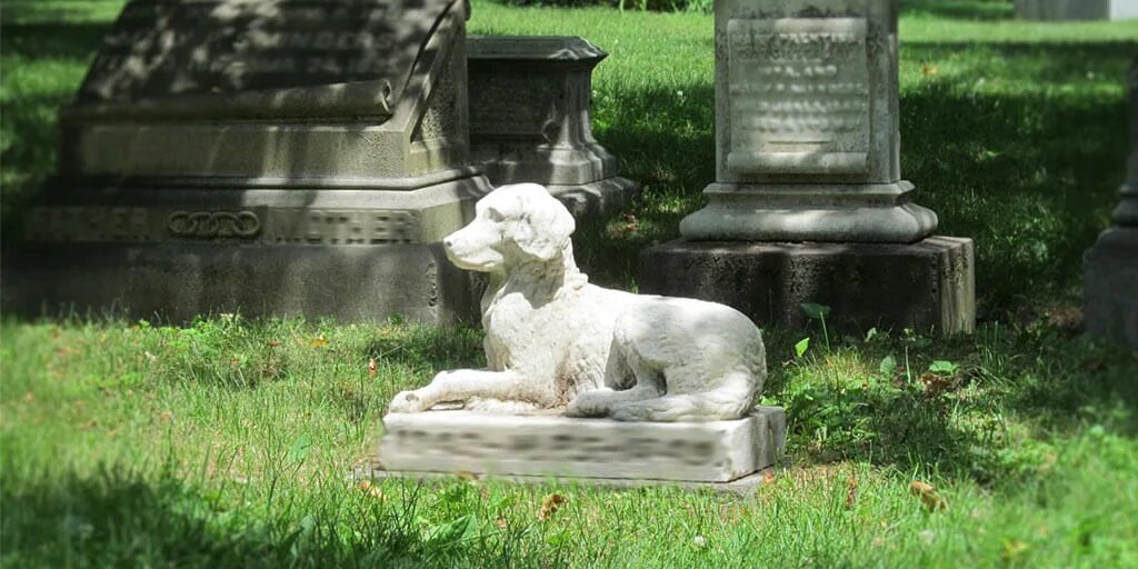 Pet cemetery. Кладбище домашних животных. Захоронение домашних животных. Кладбище питомцев. Могилы животных.