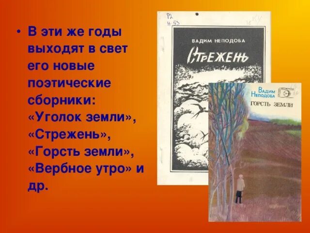 Стихотворение неподоба моя мама. Обложки книг Неподобы.