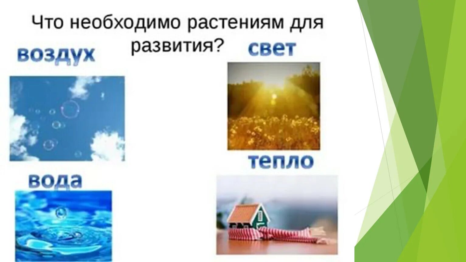 Не нужны мне не воздух не вода. Свет вода тепло. Что нужно растениям. Что нужно растениям для жизни. Вода тепло свет для растений.