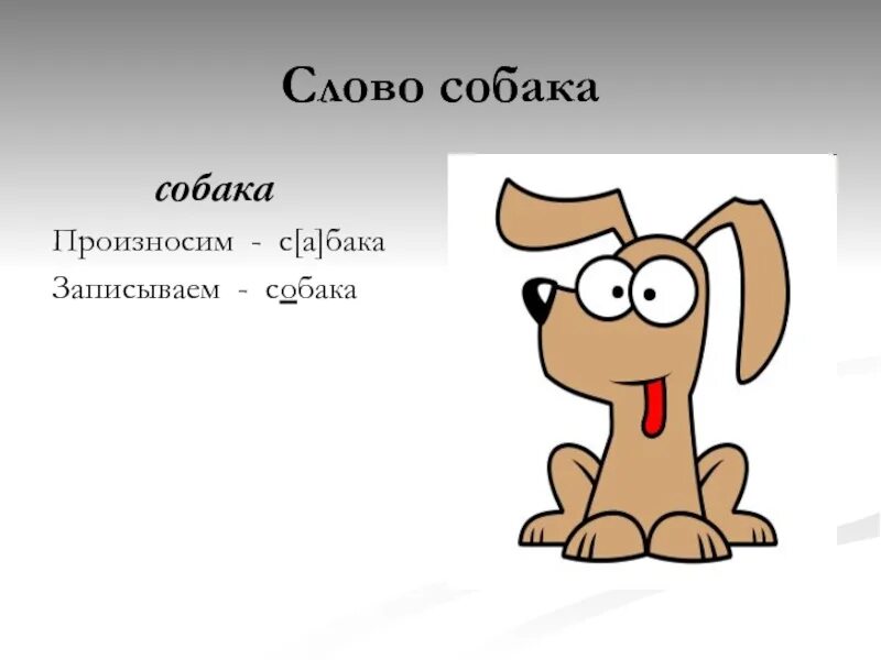 Проект о слове собака. Проект рассказ о слове собака. Проект по слову собака. Рассказ о слове собака проект по русскому.