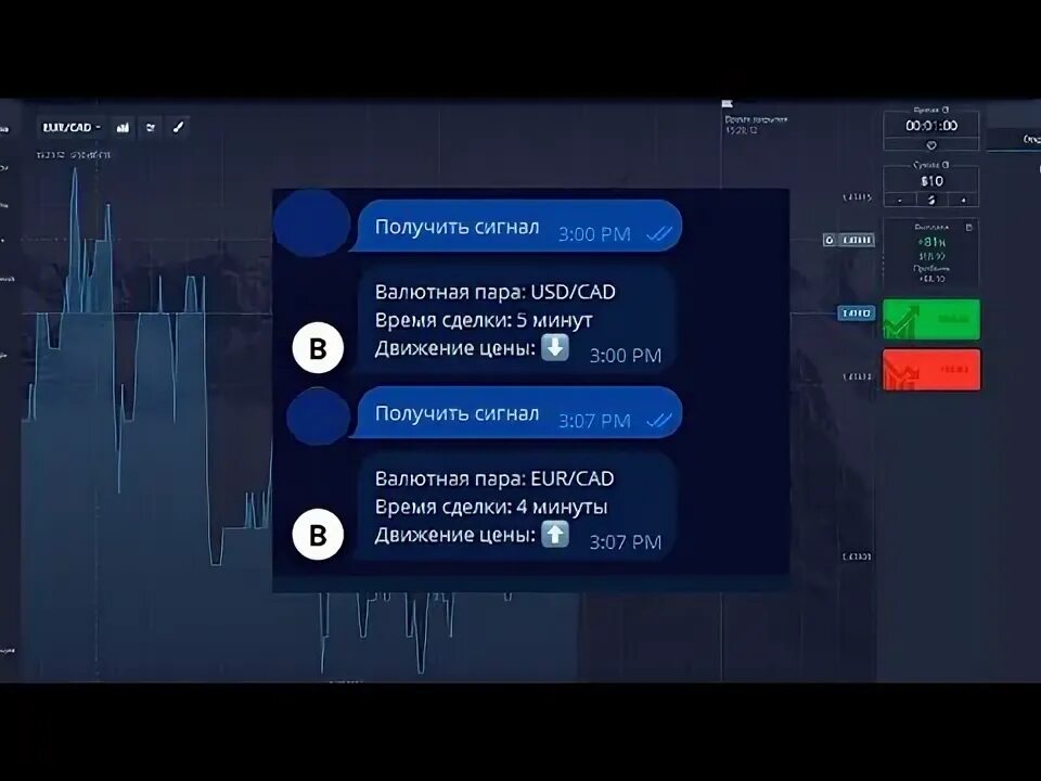 Option pocket сигнальный телеграмм. Option pocket сигнальный телеграмм