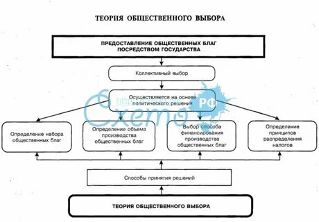 Выборы теория общественного выбора