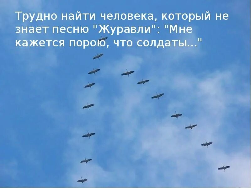 Журавли мне кажется порою. Солдаты превращаются в журавлей. Журавли мне кажется порою белые