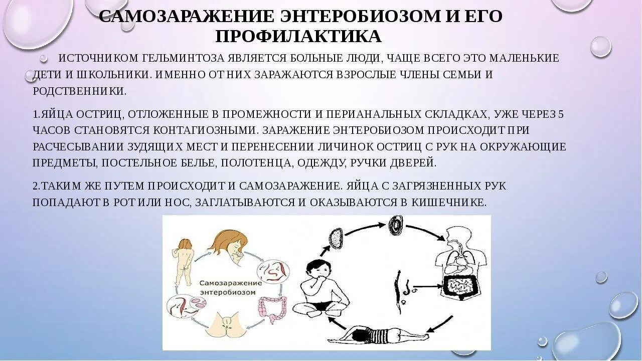 Заражение через тесты. Профилактика от энтеробиоза. Самозаражение энтеробиозом и его профилактика. Профилактика гельминтозов у детей. Схема заражения энтеробиозом.