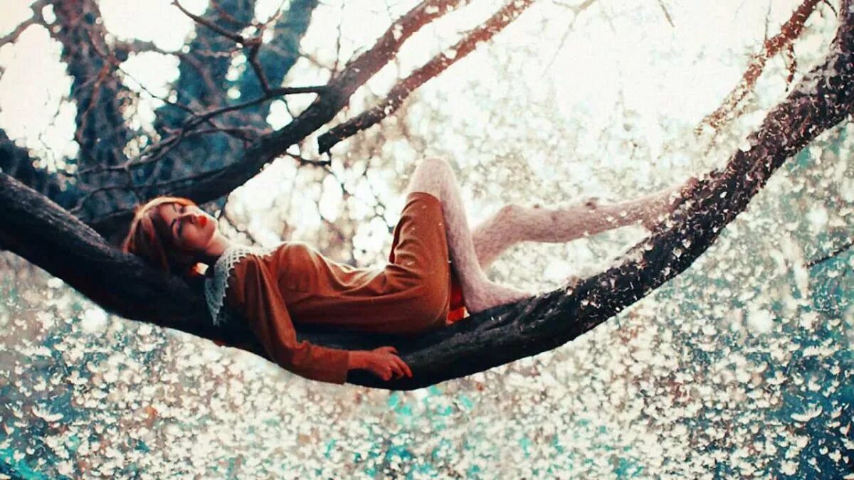 Девушка дерево. Девушка лежит на ветке дерева. Девушка на ветке дерева. Фотосессия на дереве.