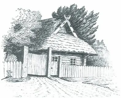 У палескай глушы чытаць кароткі змест
