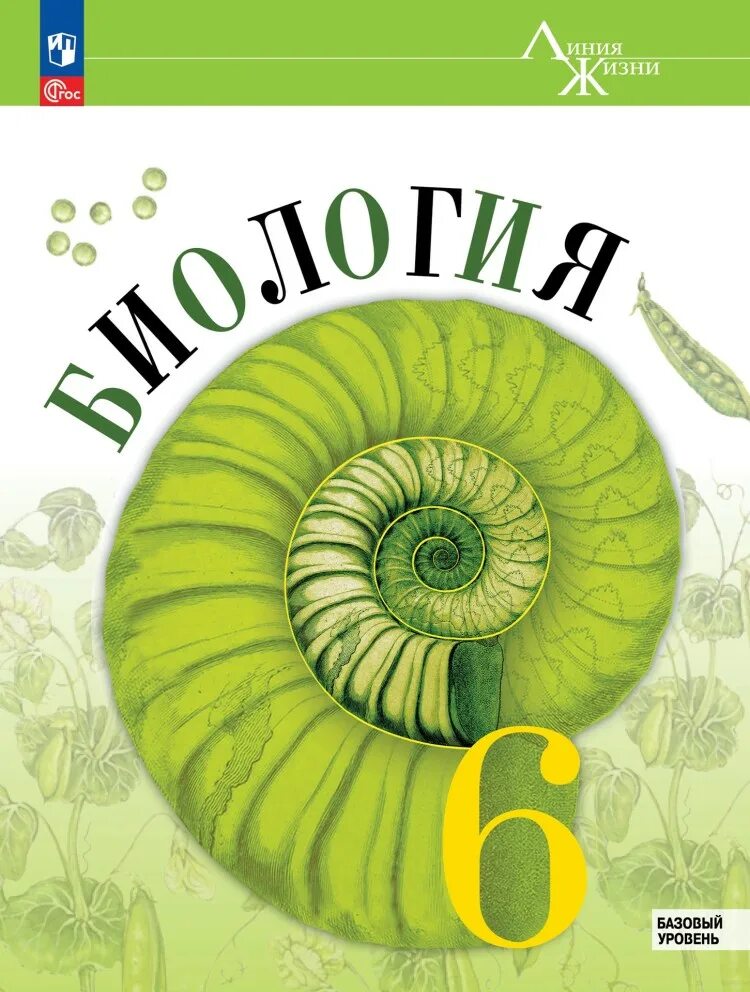 Линия жизни пасечник 6