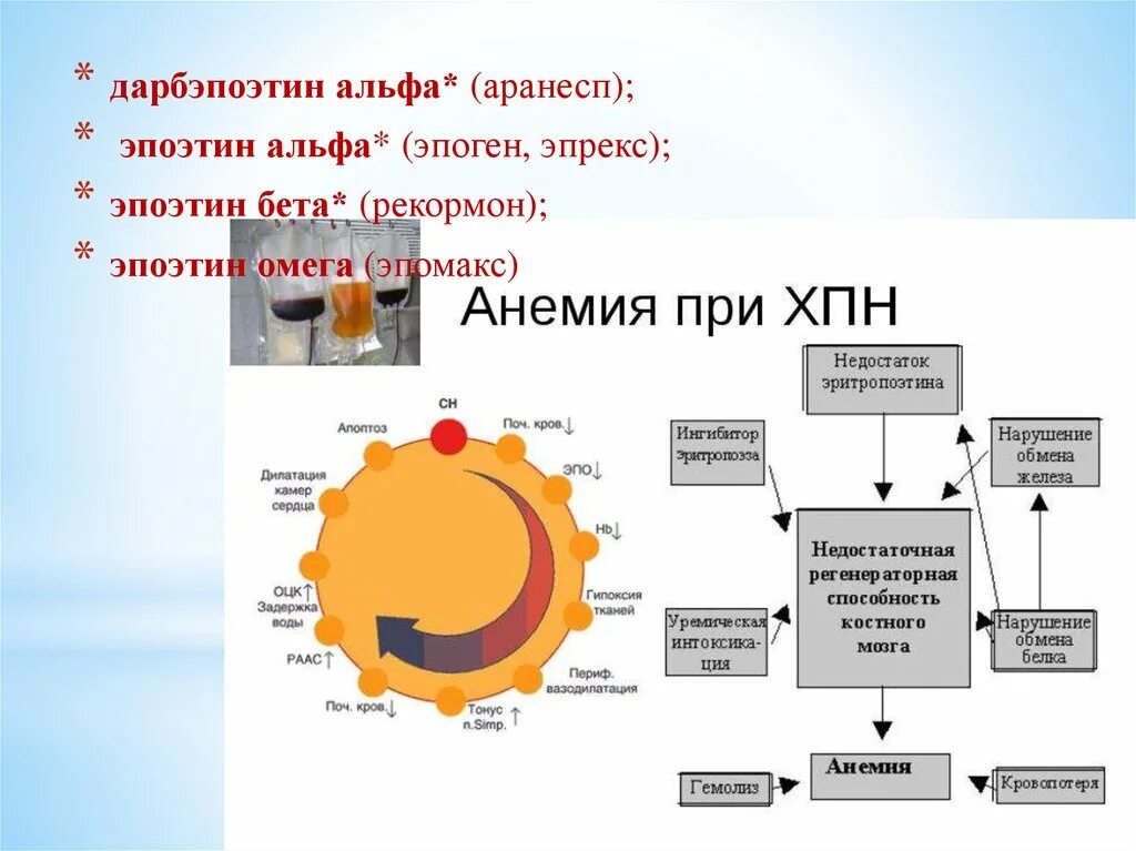 Эпоэтин Альфа механизм. Эритропоэтин Альфа и бета. Механизм действия эпоэтина Альфа. Препарат эпоэтин Альфа механизм действия.