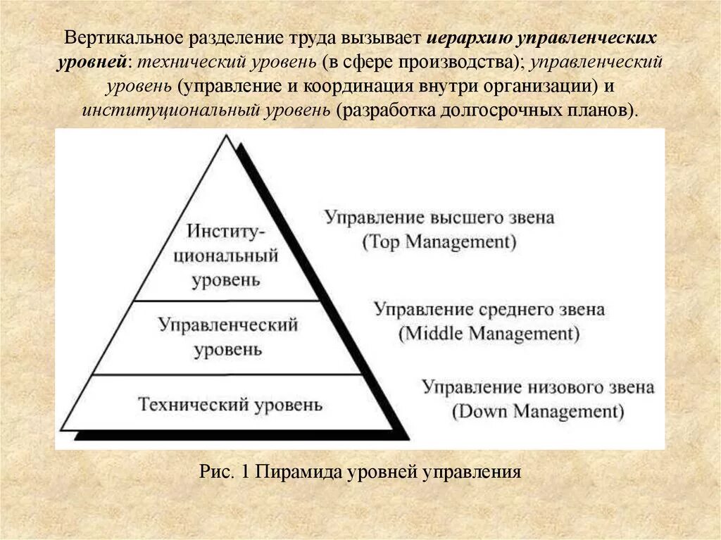 Вертикальное Разделение управленческого труда. Уровни управления вертикального разделения труда. Иерархия уровней управления. Уровни управления в организации. Иерархические уровни управления