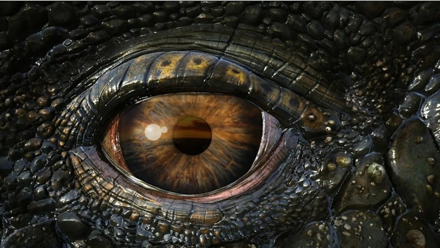 Dragon eye перевод. Морские динозавры 3d: путешествие в доисторический мир. Глаза дракона (Dragon Eyes). Глаз динозавра.