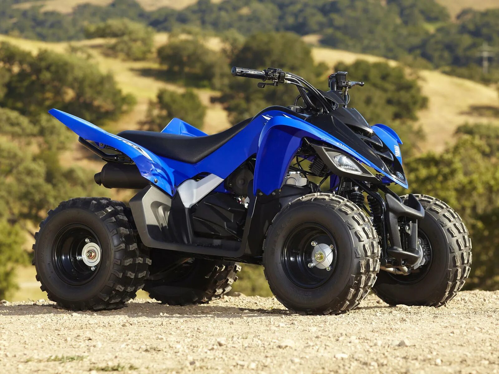 Китайские квадроциклы. Yamaha atv. Квадроцикл Yamaha Hunter. Квадроцикл Ямаха черный. Квадроцикл Moto x Raptor-.