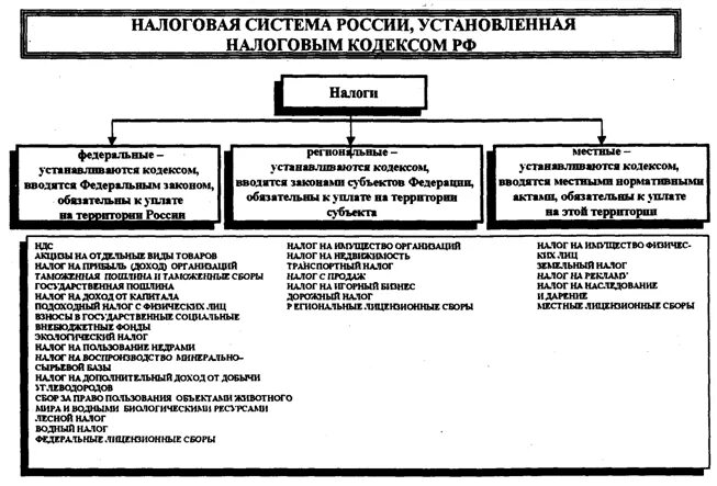 Налоговая система РФ состоит из уровней. Структура налоговой системы РФ по налоговому кодексу. Налоговая система РФ схема. Структура налоговой системы РФ схема. Налоговая система в рф представлена