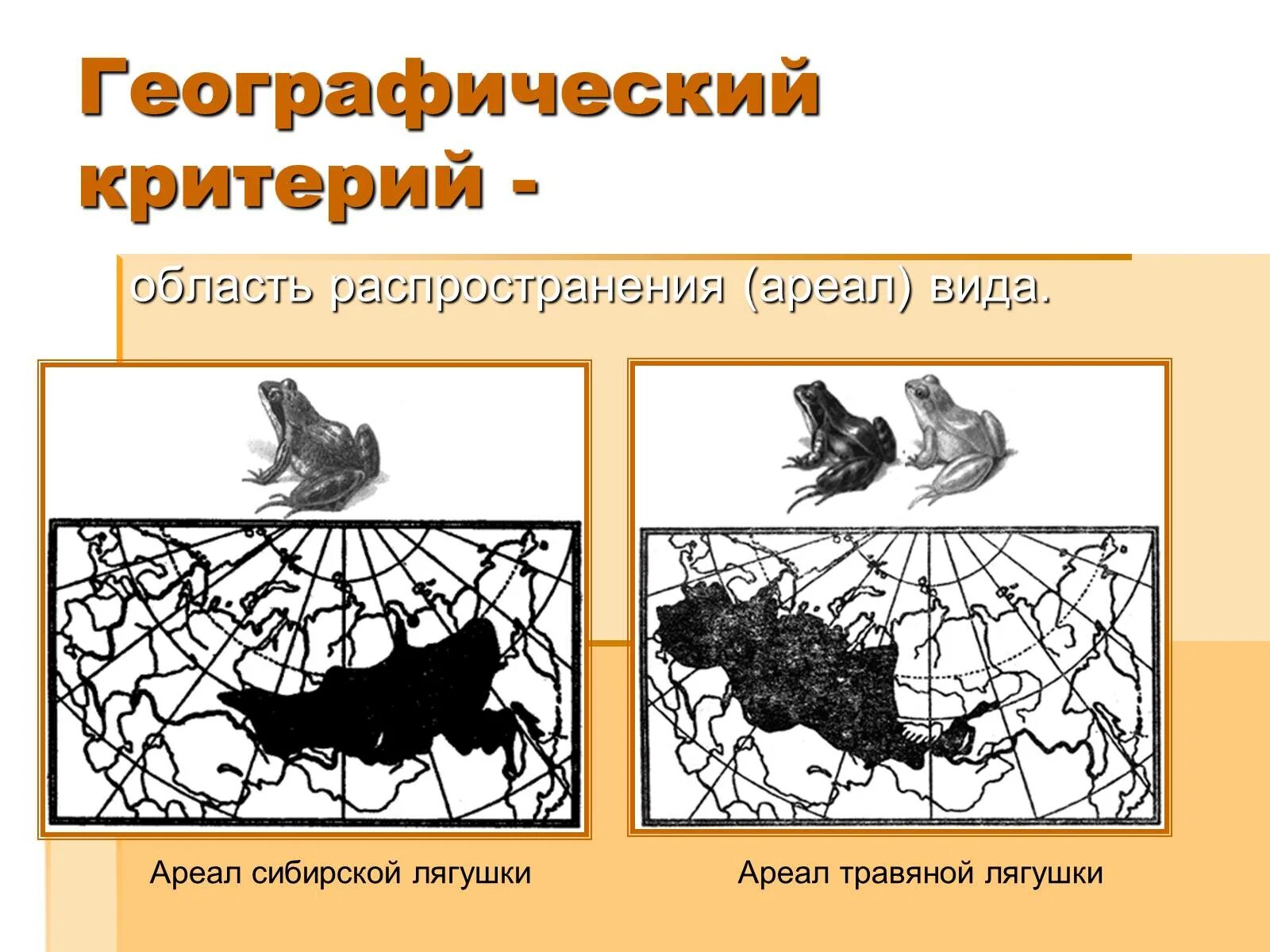 Признаки географического критерия