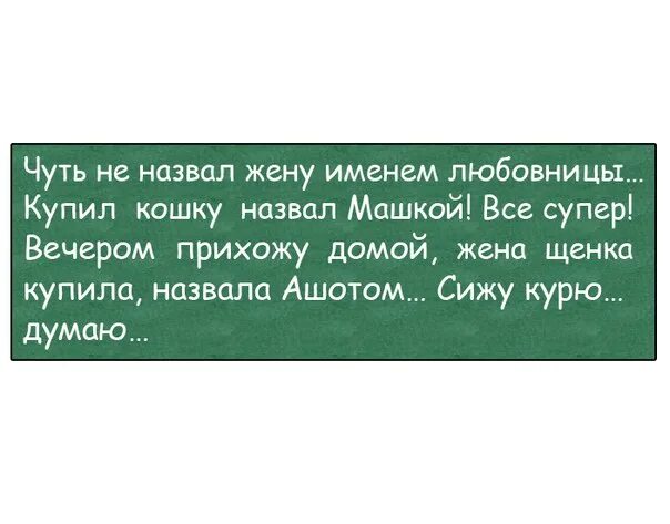 Мужчина ласковый любовник. Муж обзывает жену. Анекдот жена купила кошку и назвала Ашотом. Жена мужа называла. Завел кошку назвал Машкой.