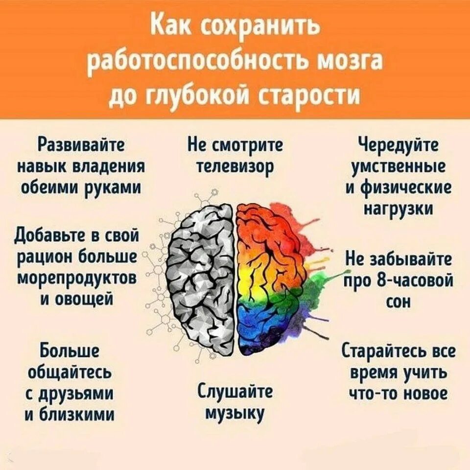 Работоспособность мозга. Как сохранить работоспособность мозга. Улучшение работоспособности мозга. Как не забывать информацию