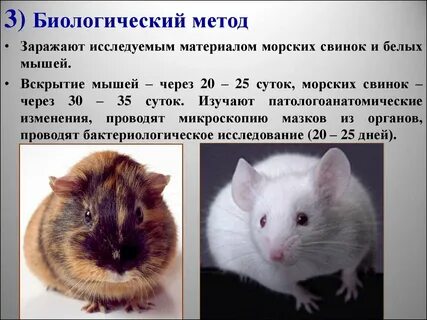 Биологический метод