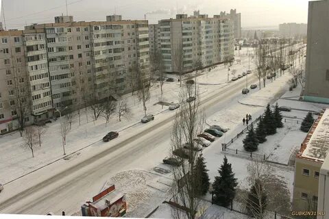 Губкин журавлики