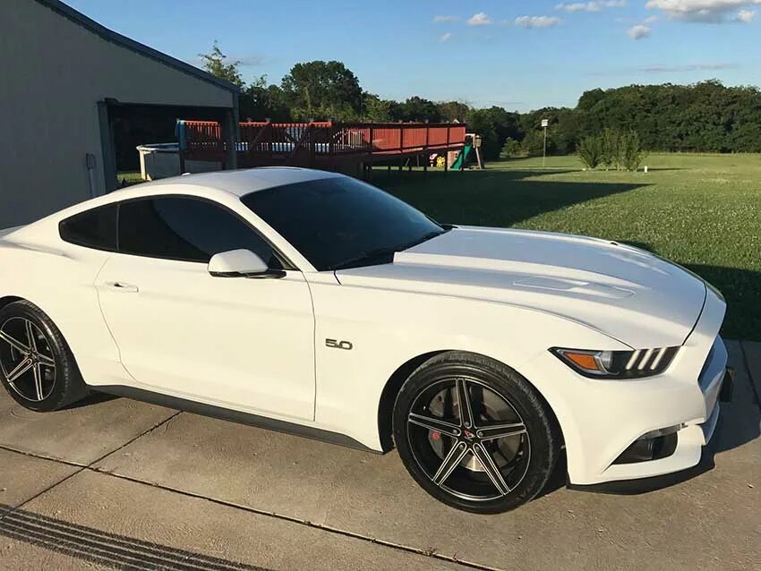 Форд мустанг gt 2006. Вайт мустанг перевод. Ford mustang 2008 white. Вайт мустанг перевод. Форд мустанг gt 2006.