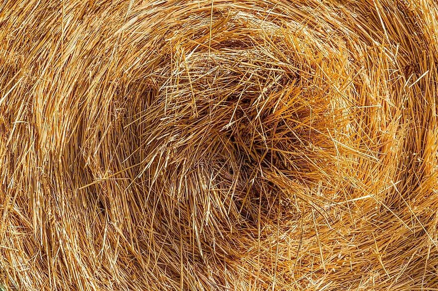Straw