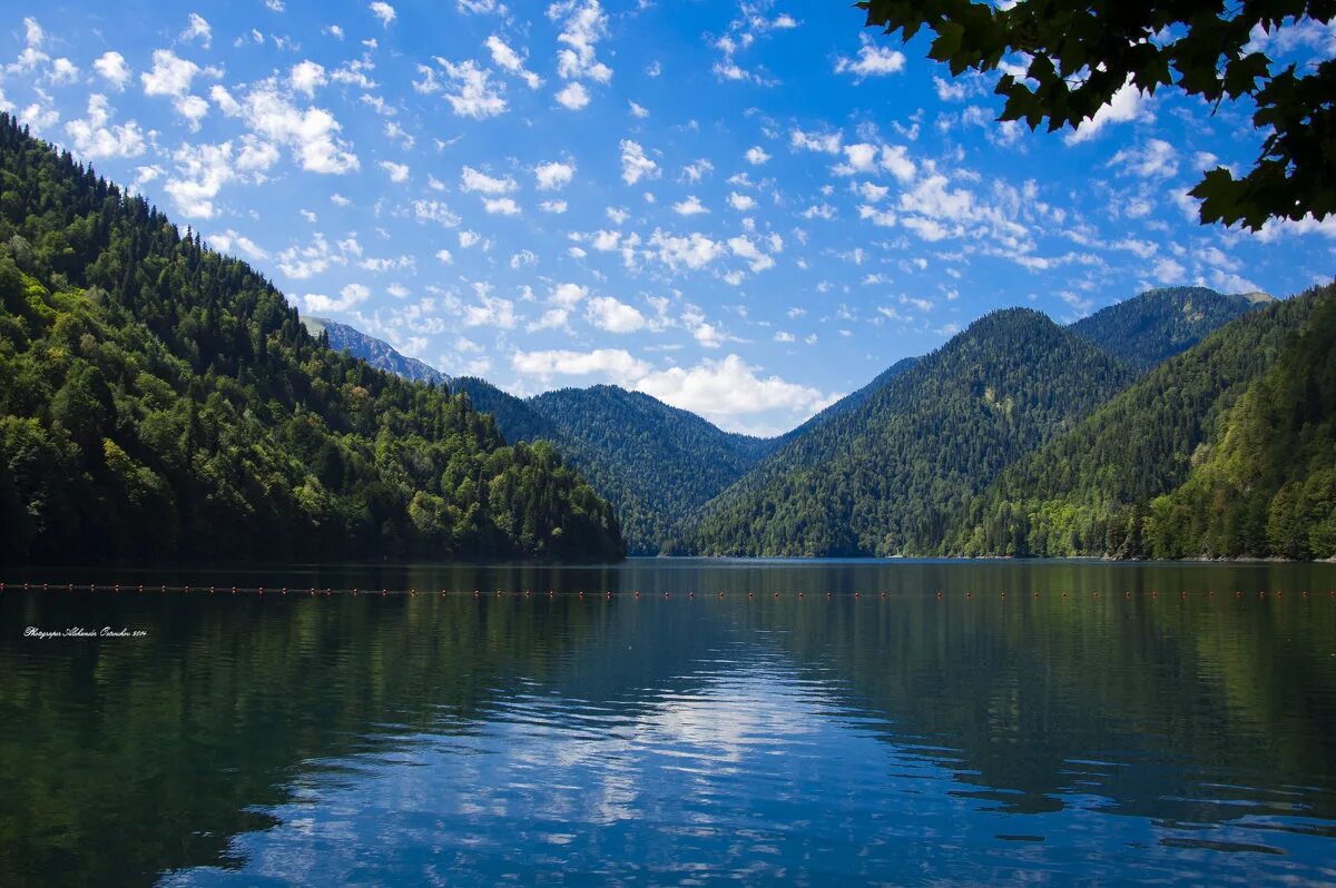 Новый афон рица. Природа Абхазии Рица. Голубое озеро Рица Абхазия. Абхазия Гагры озеро Рица. Рицинский парк Абхазия.