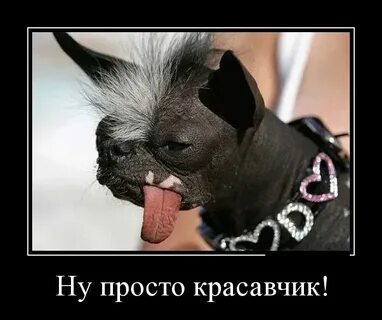 Ну просто нажимаешь