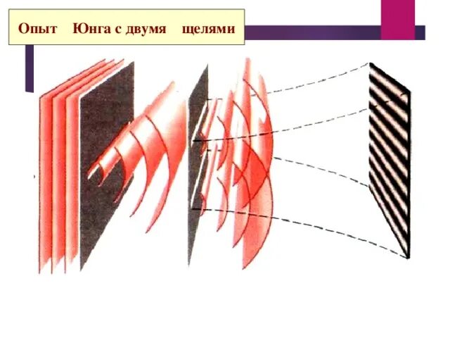 Урочище сосновая щель архипо-осиповка. Эксперимент с двумя щелями. Опыт юнга с двумя щелями с наблюдателем. Щель 2. Опыт томаса юнга по дифракции света.