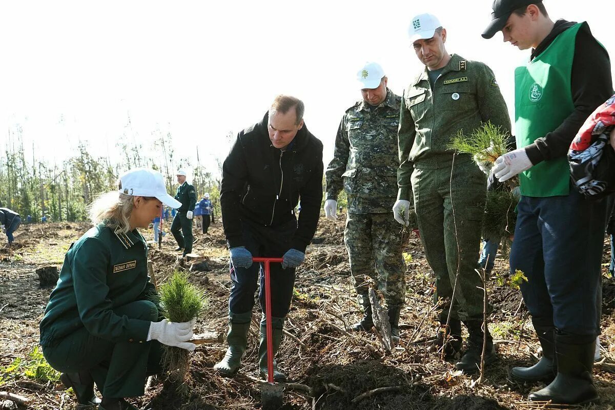 День леса. Посадка леса. Акции по высадке лесов. Сохраним леса. Новости мордовия 1