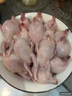 Тушки перепелов
