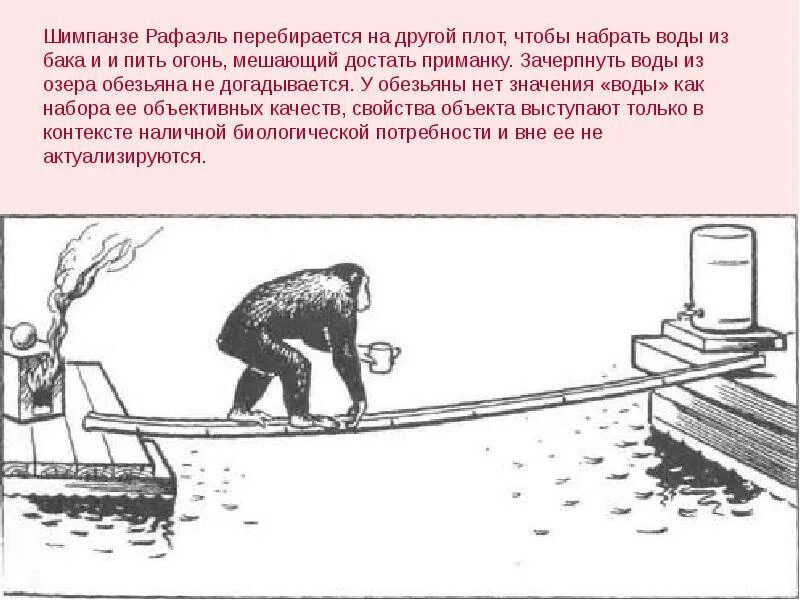 Масса груза помещенного на плот. Опыт с обезьяной и водой. Эксперимент с обезьяной на плоту. Рассудочная деятельность.