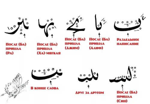 Написать арабу. Надписи на арабском языке. Арабские буквы. Арабские слова. Красивые надписи на арабском языке.