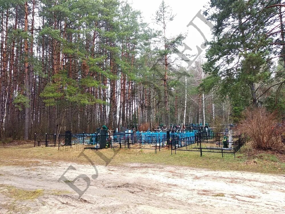 Первомайская поселенческая библиотека. Рамасуха брянская область. Пос первомайский брянская область. Посёлок первомайский сельцо. Брянская область село первомайское.