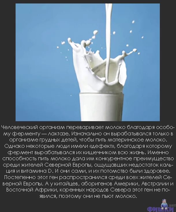Интересным фактом есть то что