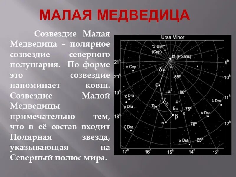Сообщение о созвездии большой медведицы. Большая и малая медведица звёзды в созвездии. Малая медведица созвездие 2 класс окружающий мир. Созвездие малой медведицы кратко. Описание большой медведицы.