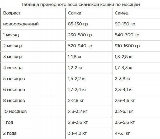 Милая сколько нужно. Сколько должен весить котик в 4 месяца. вес котенка по месяцам таблица. сколько вес котенка в 7 месяцев. вес котенка в 2 месяца норма таблица.
