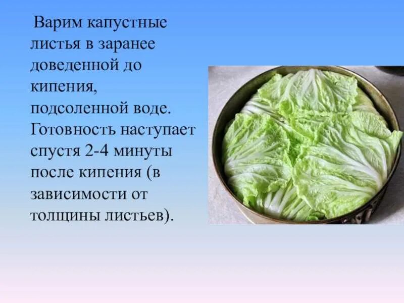 Сколько минут варить капусту