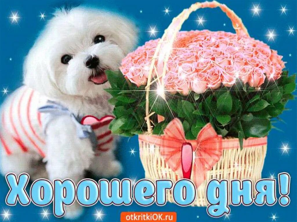 Хорошего дня и отличного настроения. Хорошего дня и отличного настроения. Пожелания хорошего натроени. Доброго дня и хорошего настроения дорогая. Доброго дня и хорошего настроения дорогая.