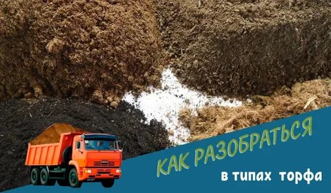 Растительный грунт это