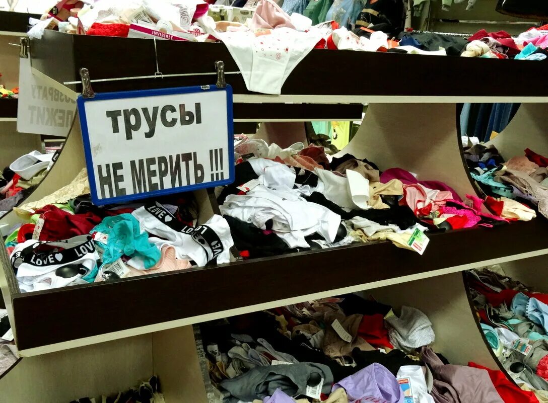 Тут строго. Строго мем. Не суди меня строго. Строго мемы. Ежик в тумане юмор.