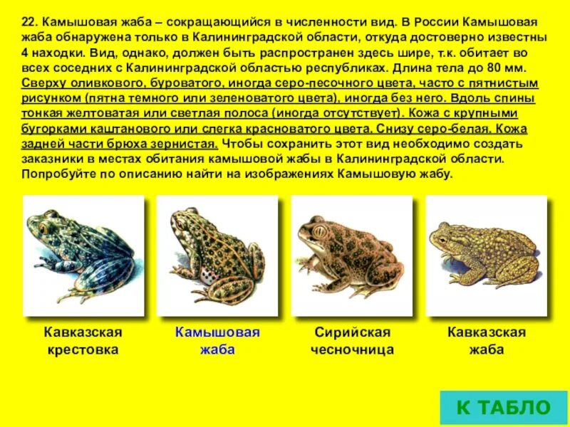 Таксоны и популяции неуклонно сокращающиеся в численности. Растения луга красная книга. Пискулька красная книга челябинской области. Выхухоль занесен в красную книгу. Виды неуклонно в.