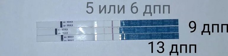 13 10 8 20. ХГЧ на 9 ДПП пятидневок. Тест на беременность на 9 ДПП пятидневок. 9дпп пятидневки крио ХГЧ. ХГЧ на 9 день после подсадки.