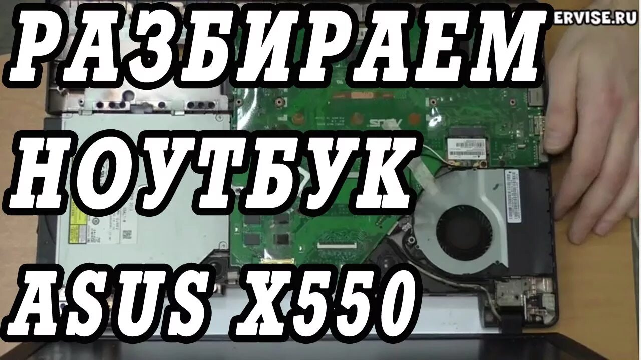Panorama: Seven colors, computer repairs and services, Russia, Krasnodar, Tsentr
