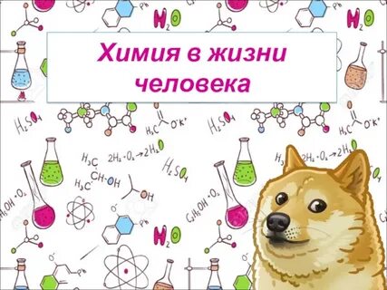 Химическая жизнь